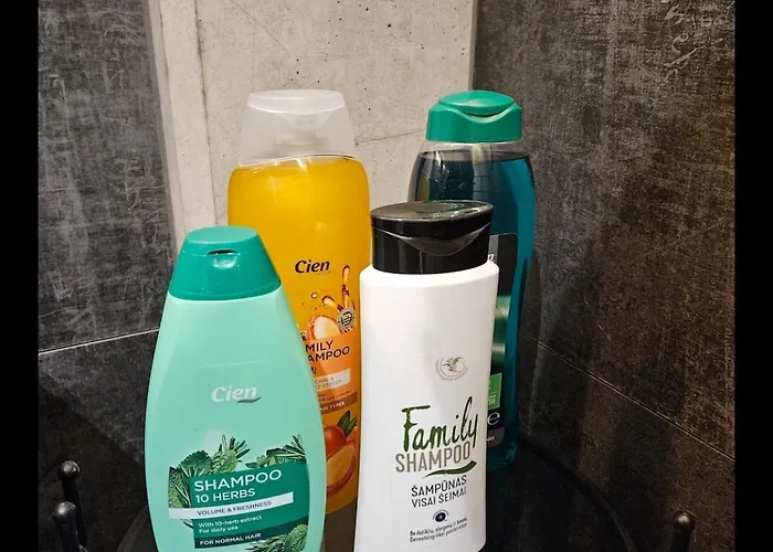 Happy Vip Lounge, Self Check-in, Parking Lejlighed Vilnius